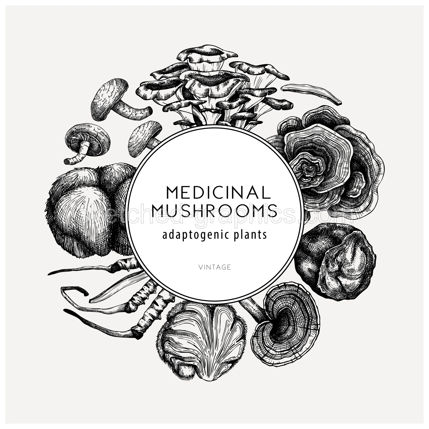 Medicinal mushroom illustrations wreath. Hand-sketched adaptogenic plants frame design. Perfect for recipe, menu, label, packaging. Hand sketched mushroom outlines.  Illustration